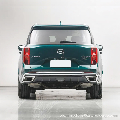 السعر المنخفض 2023 GAC GS8 2023 PILOT GDI Series 2.0T SUV للبيع بجودة عالية